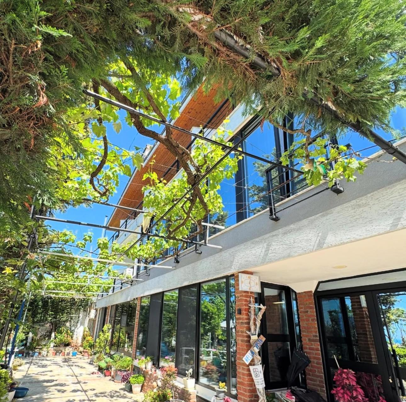 Holiday home Bellavista *
