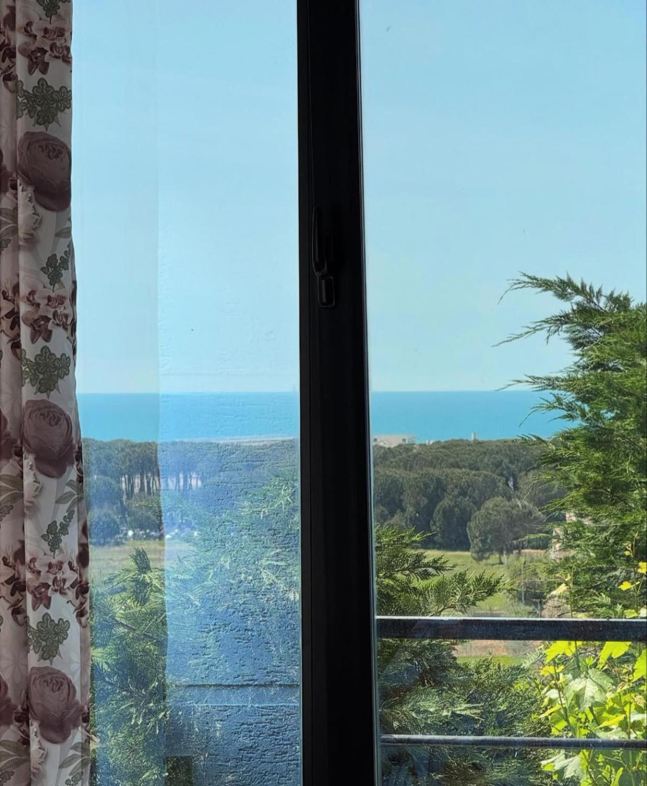 Bellavista *
